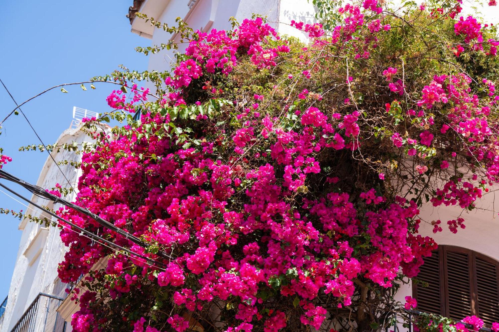 Marbella Luxury Duplex 106 Close To The Beach Exterior foto